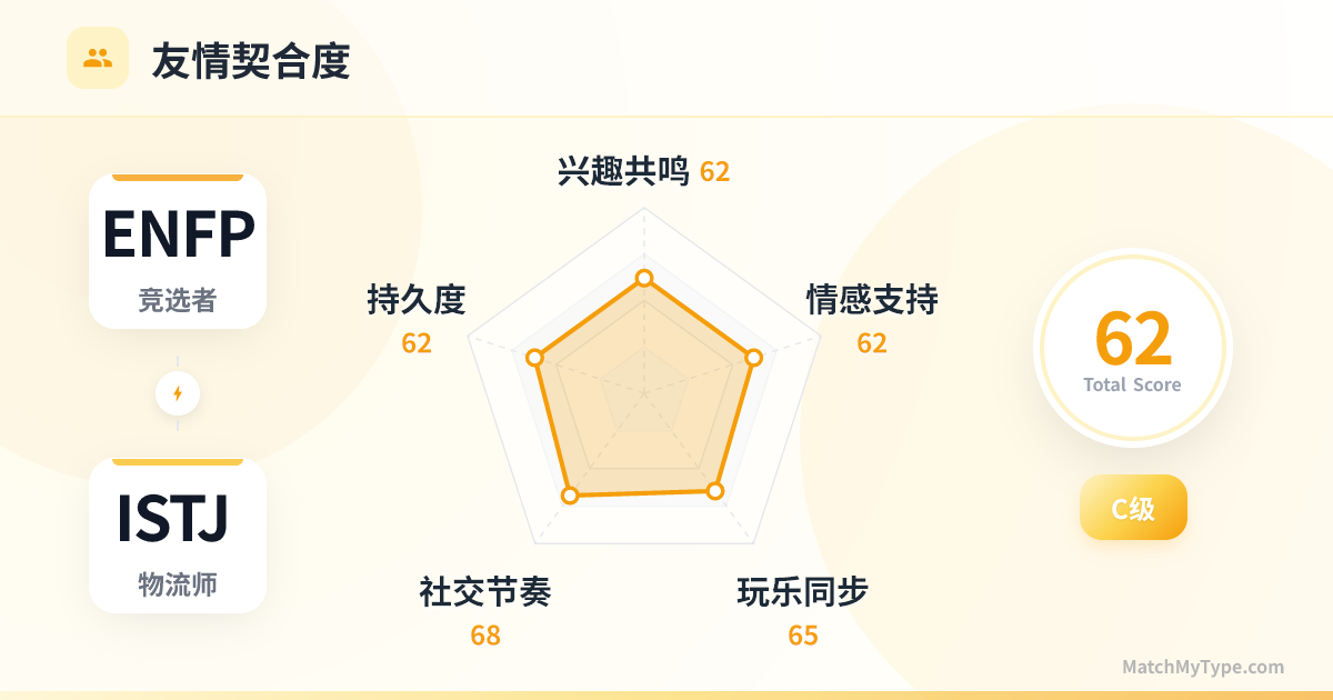 ENFP x ISTJ 社交模式 - 友情契合度雷达图分析