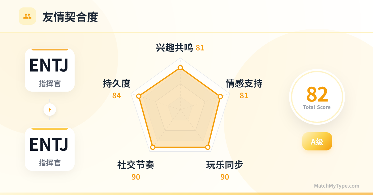 ENTJ x ENTJ 社交模式 - 友情契合度雷达图分析