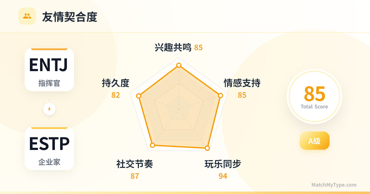 ENTJ x ESTP 社交模式 - 友情契合度雷达图分析