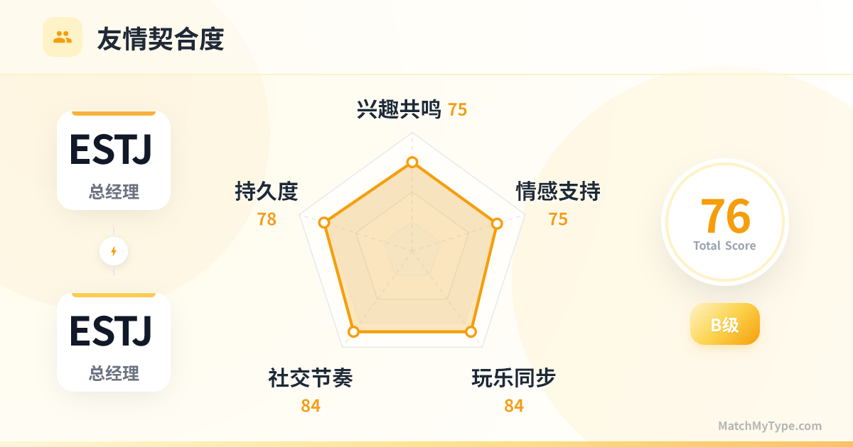 ESTJ x ESTJ 社交模式 - 友情契合度雷达图分析