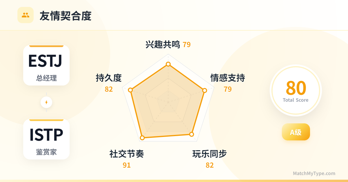 ESTJ x ISTP 社交模式 - 友情契合度雷达图分析