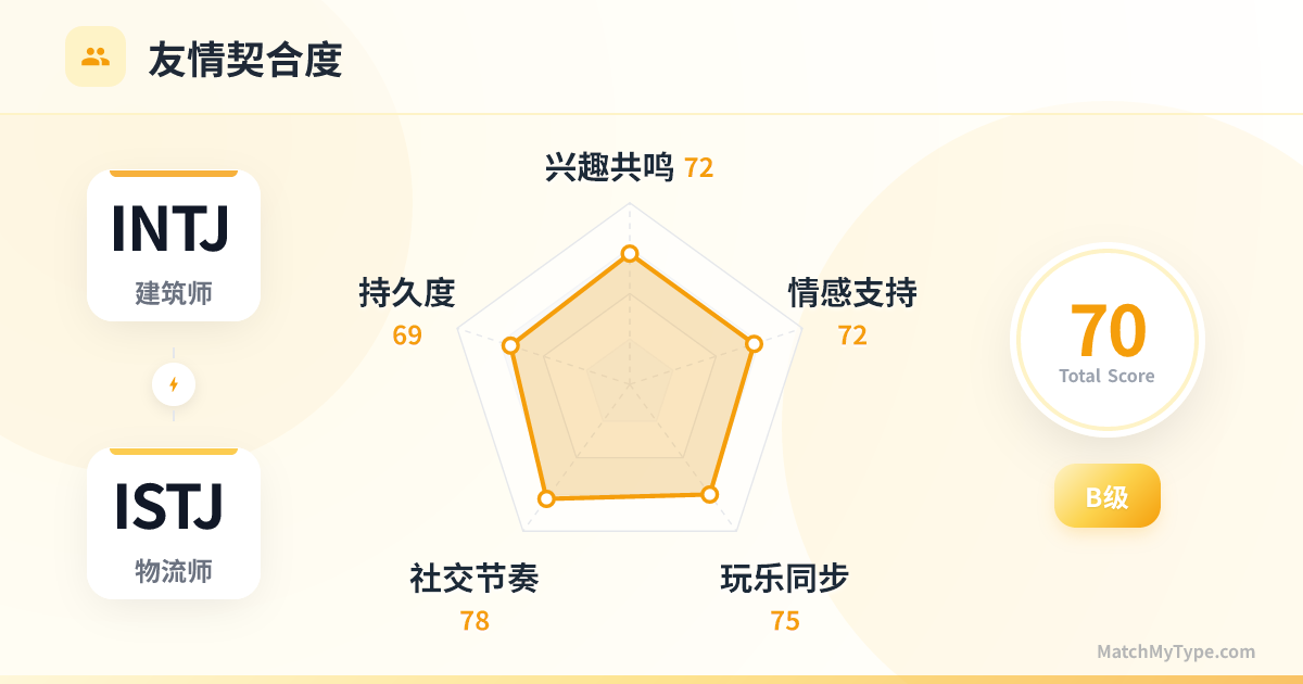 INTJ x ISTJ 社交模式 - 友情契合度雷达图分析